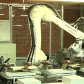 Anzani Machinery | ATS | Robotic Conveyor